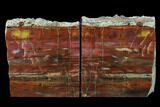 Tall, Arizona Petrified Wood Bookends - Red, Yellow & Purple #166075-1